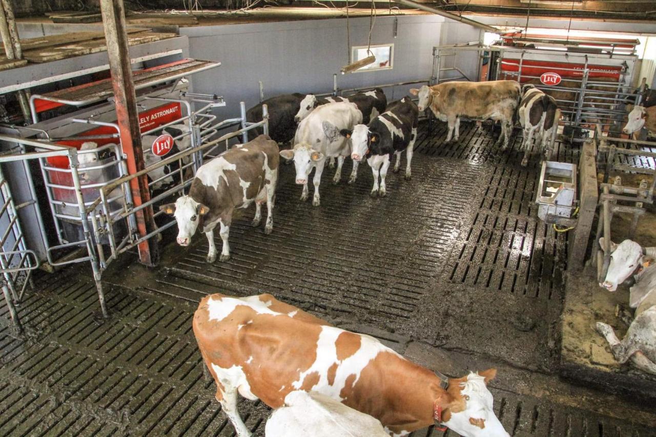 Gite A La Ferme Rouvroy ภายนอก รูปภาพ